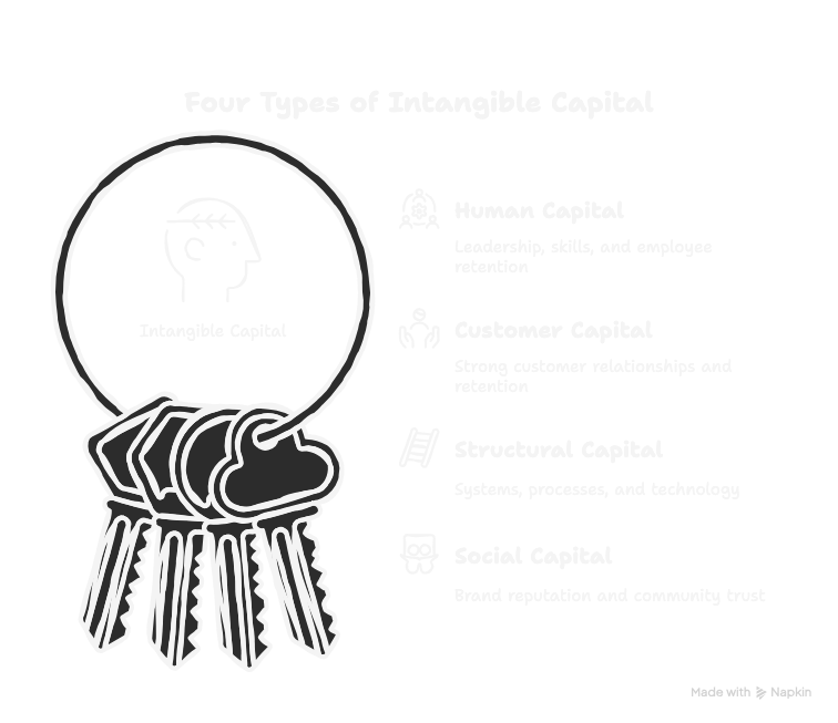 The Four Types of Intangible Capital (The Maus Framework) - visual selection